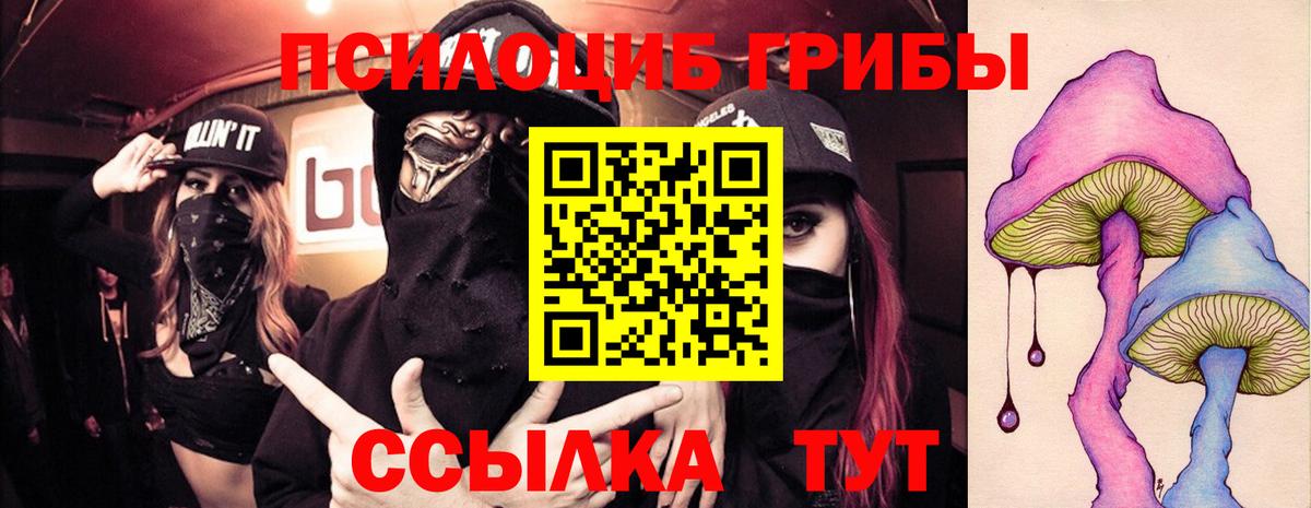 Псилоцибиновые грибы MAGIC MUSHROOMS  хочу   Киселёвск  Вход с VPN 
