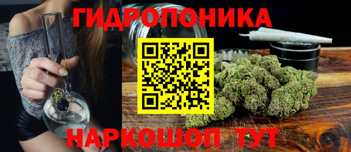 Бошки Шишки планчик Киселёвск